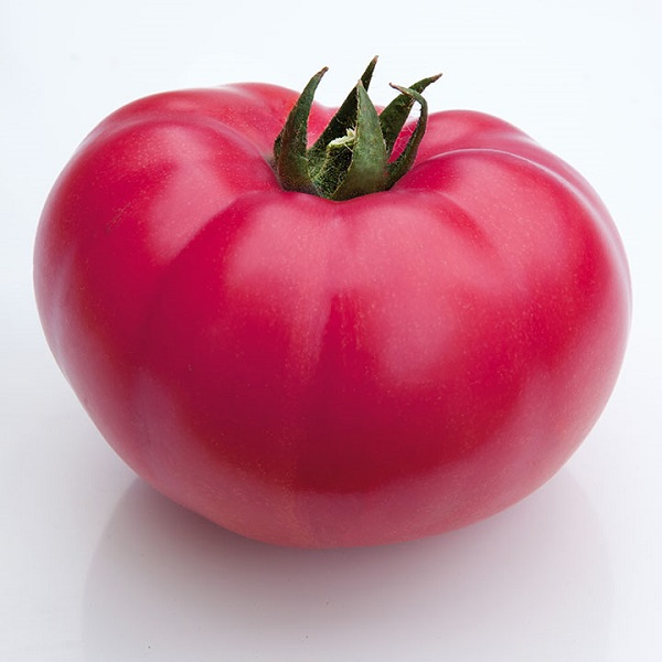 Seminte de tomate roz Kanshin f1 [1]