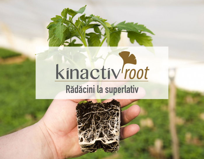 Kinactiv root 400 ml [1]