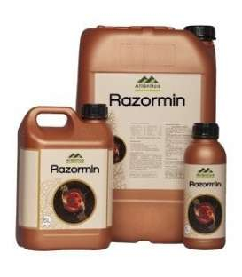 Razormin -stimulator de inradacinare (1 l) [1]