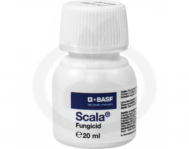 SCALA 20ML [1]