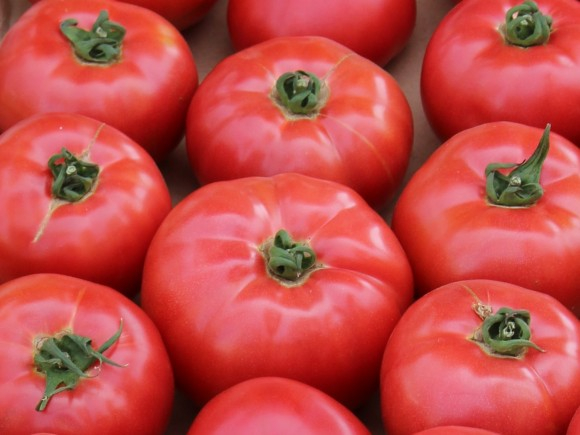 Seminte de tomate Aphen 1000 sem [1]