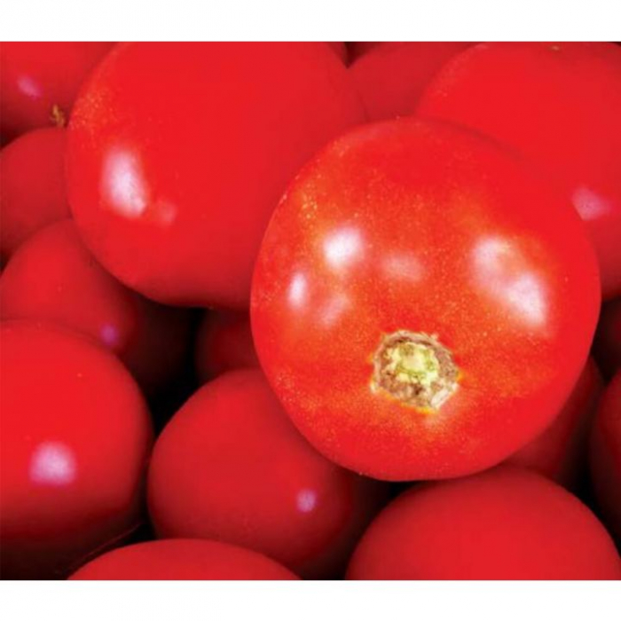Seminte de tomate Bobcat F1 1000 sem [1]