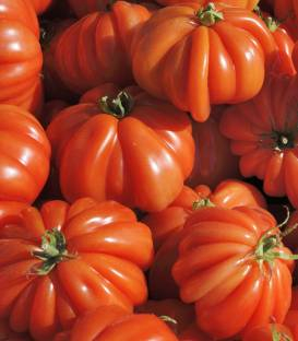 Seminte de tomate Corazon F1 (250 sem) [1]