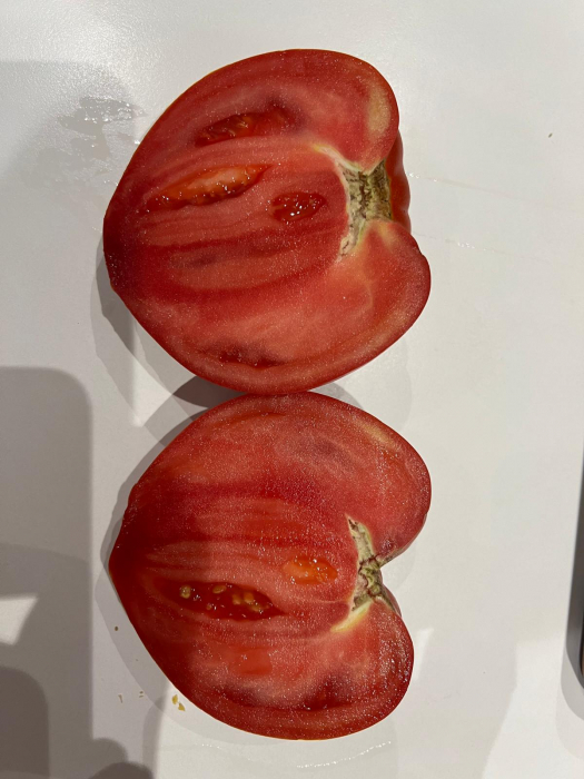 Seminte de tomate Dossimo F1 250 sem [1]
