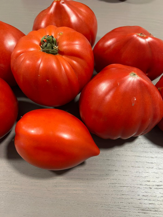 Seminte de tomate Dossimo F1 250 sem [3]