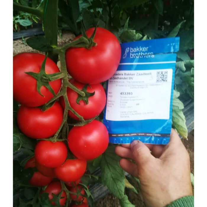 Seminte de tomate Eclipse F1 500 sem [1]