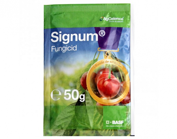 SIGNUM 50G [1]