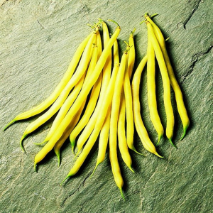 Fasole - Fasole fideluta Fruidor F1 (500 g)