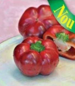 Produse - Ardei gogosar Traian F1 (100 sem)