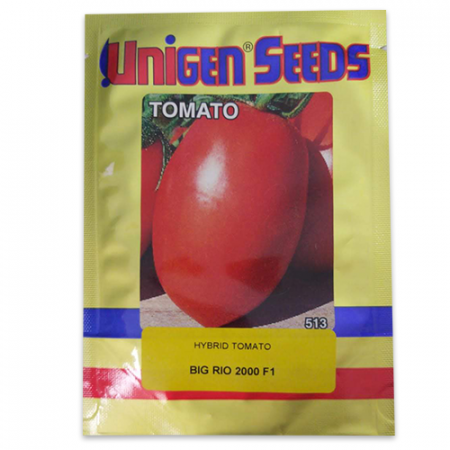 Tomate - Seminte Big Rio  2000 F1 1000 SEM