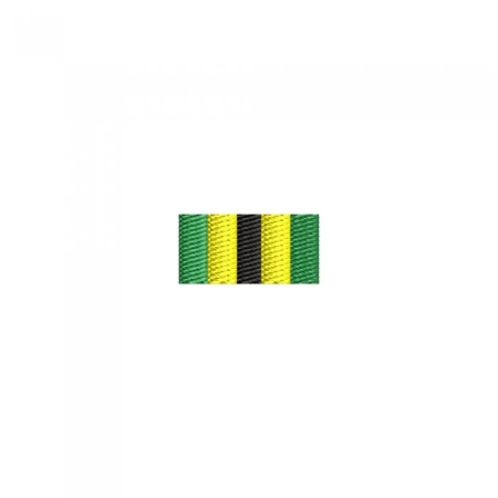 Insigne-simbol pentru deținerea de embleme de onoare - Insigna-simbol a emblemei de onoare a Direcției Domenii și Infrastructuri - Veston