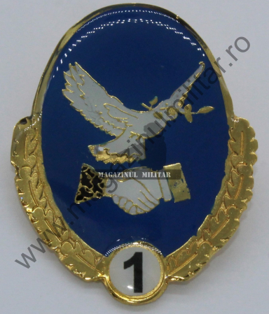 Armata - Specialist clasa CIMIC