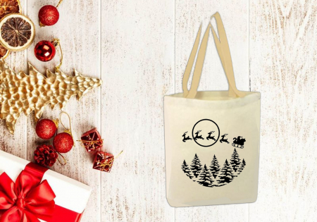 Produse - Sacoșă Sanie