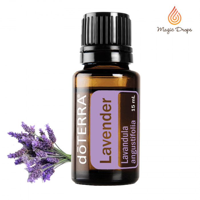 Ulei esential de Lavanda, doTERRA, 15 ml [2]