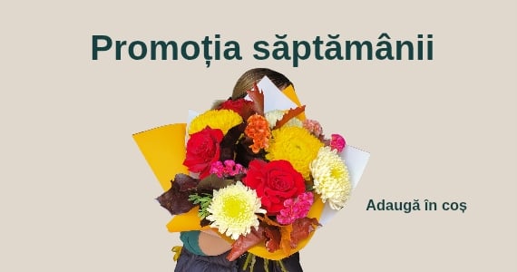 Promoția săptămânii