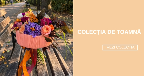 Colectia de toamnă