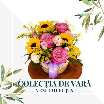 Colecția de Vară