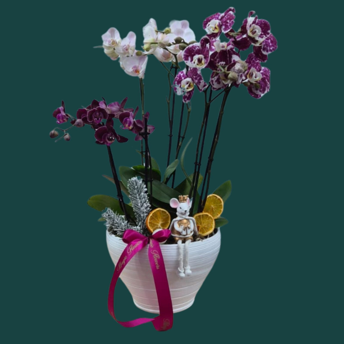 Aranjament Magia Orhideelor [1]
