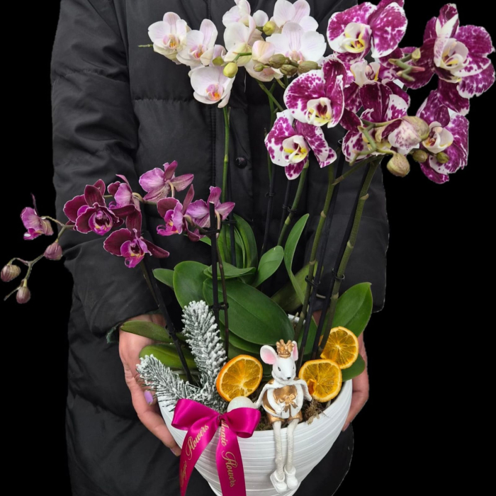 Aranjament Magia Orhideelor [2]