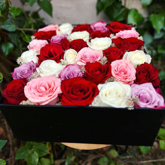 Cutie cu 31 de trandafiri multicolori [1]