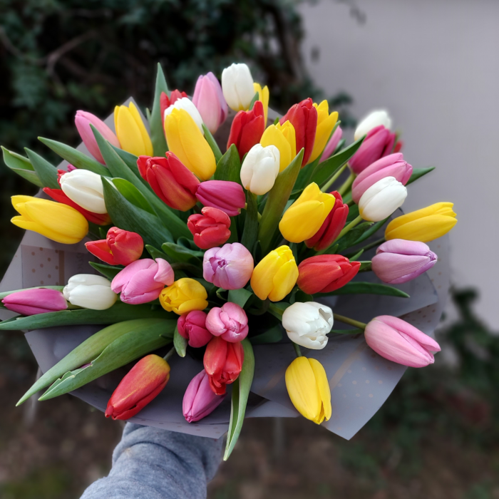 Buchet cu 51 lalele colorate [4]