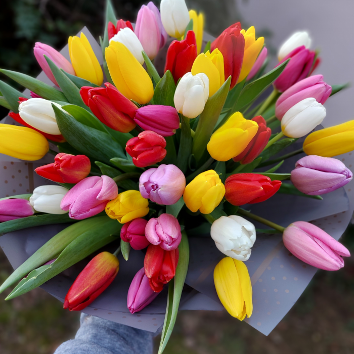 Buchet cu 51 lalele colorate [2]