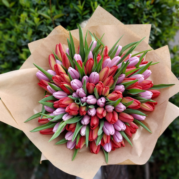 Buchet cu 101 lalele [4]