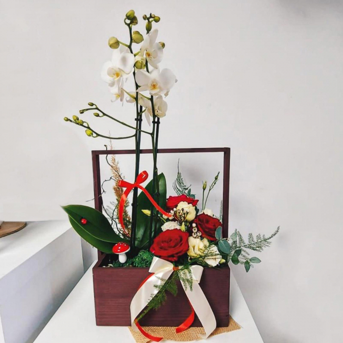 Lădiță cu Orhidee și aranjament floral [1]