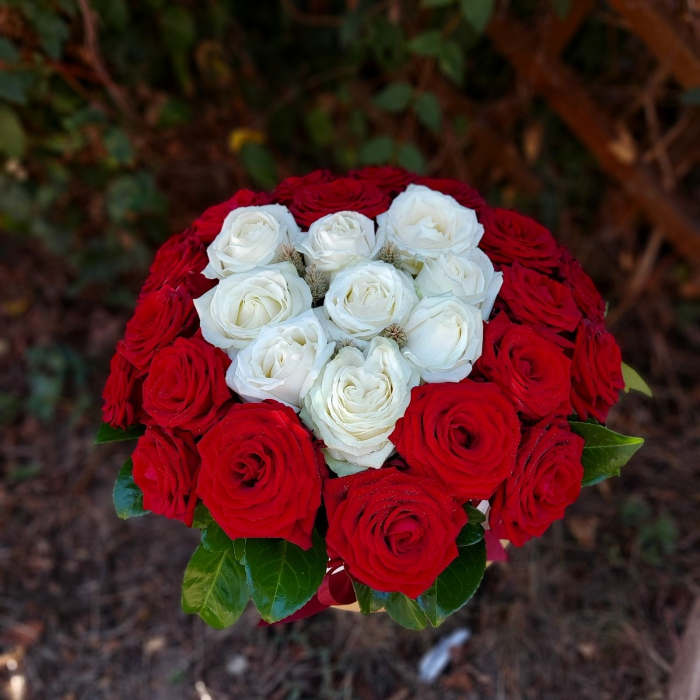 Cutie 35 trandafiri roșii și albi [1]