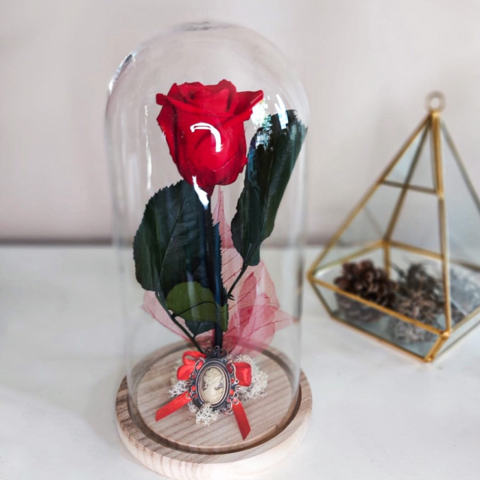 Trandafiri criogenat cu tijă în cupolă [3]