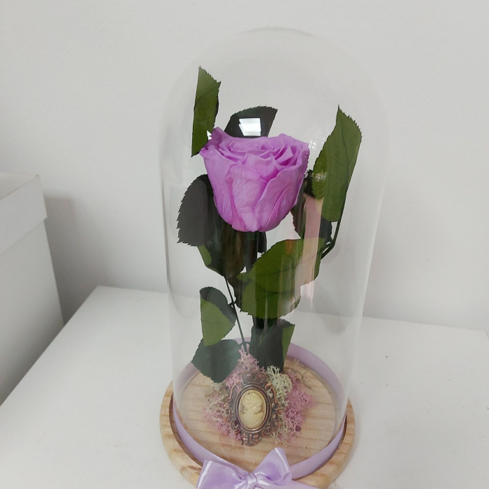 Trandafiri criogenat cu tijă în cupolă [5]