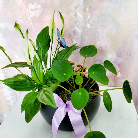 Aranjament cu plante naturale [1]