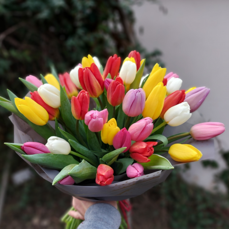 Mulțumesc - Buchet cu 51 lalele colorate