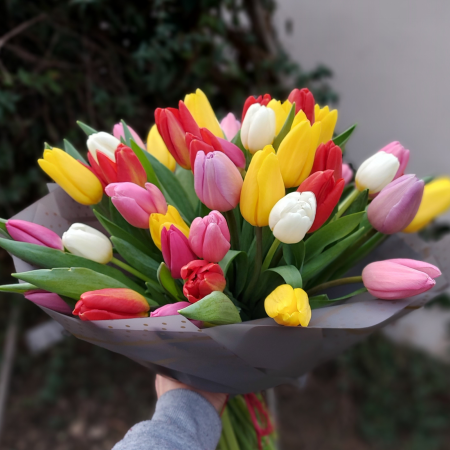 Buchet cu 51 lalele colorate [2]