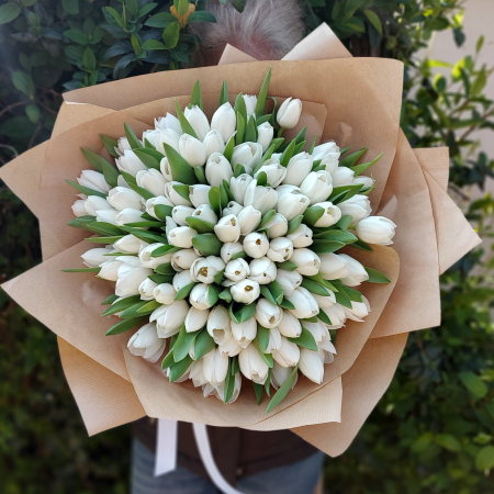 Buchet cu 101 lalele [1]
