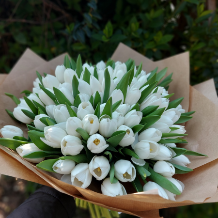 Buchet cu 101 lalele [4]