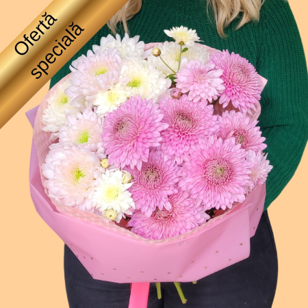 Mihail si Gavril - Buchet cu crizanteme pastel