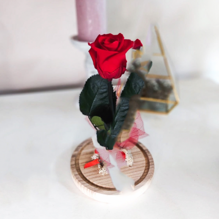 Trandafiri criogenat cu tijă în cupolă [1]