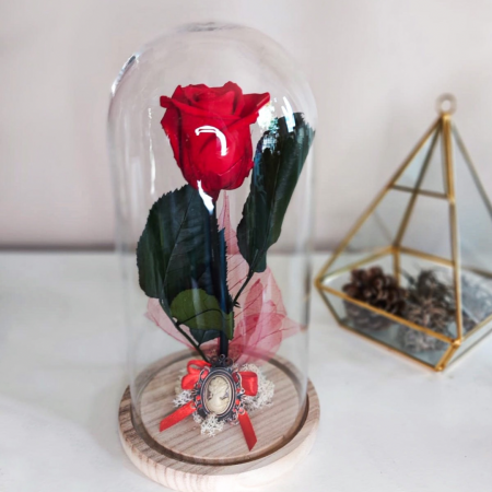 Trandafiri criogenat cu tijă în cupolă [2]