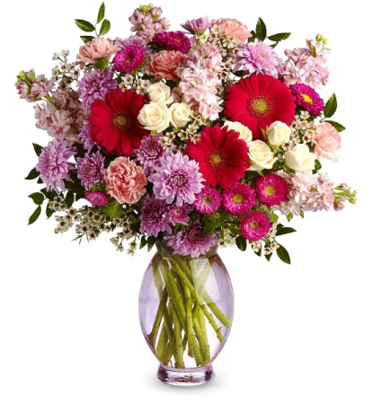 Declaratie de dragoste - Chrysanthemum roses