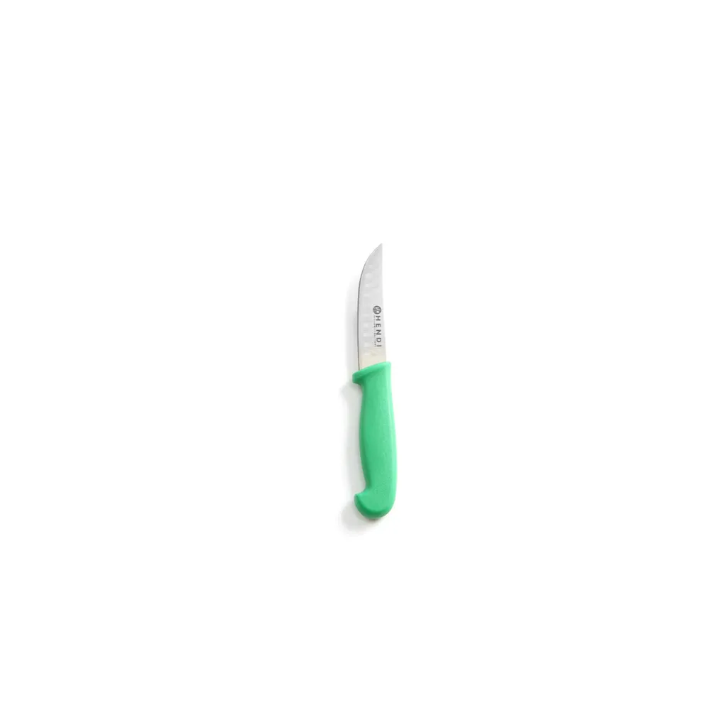 Cutit universal, lama 9cm, maner verde, 19cm, HACCP [1]