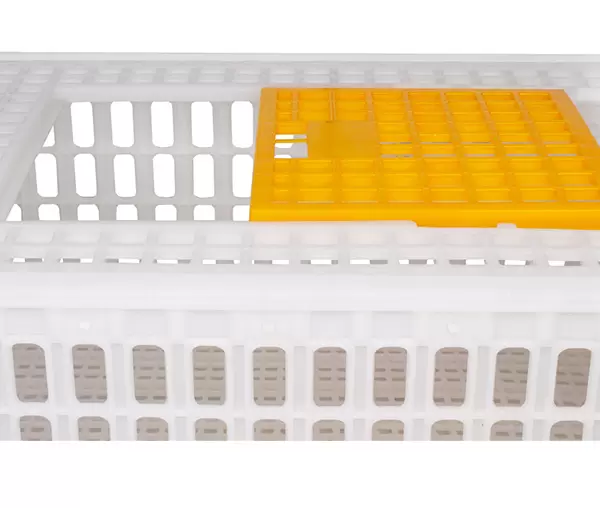 Cutie transport pasari - 730 x 540 x 320 mm, GBB [4]