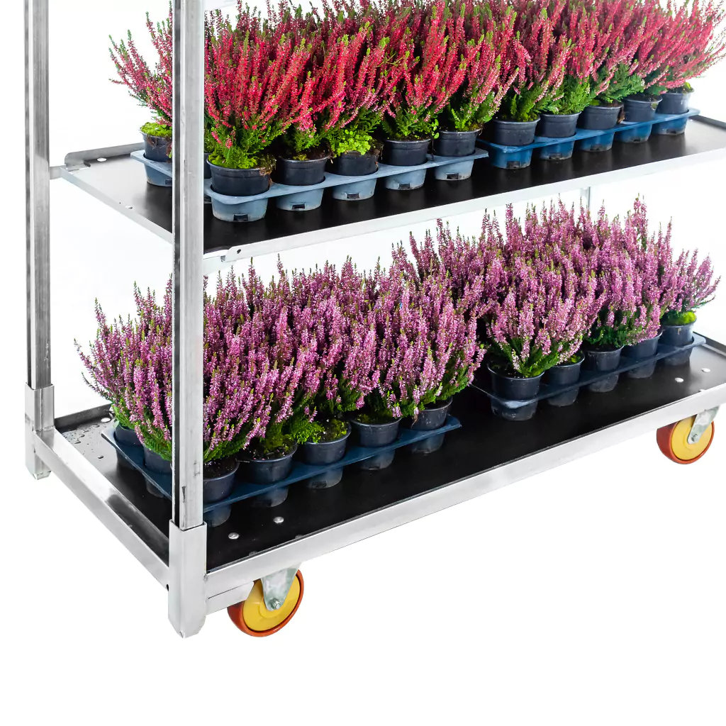 Raft carucior flori 130x55cm [6]