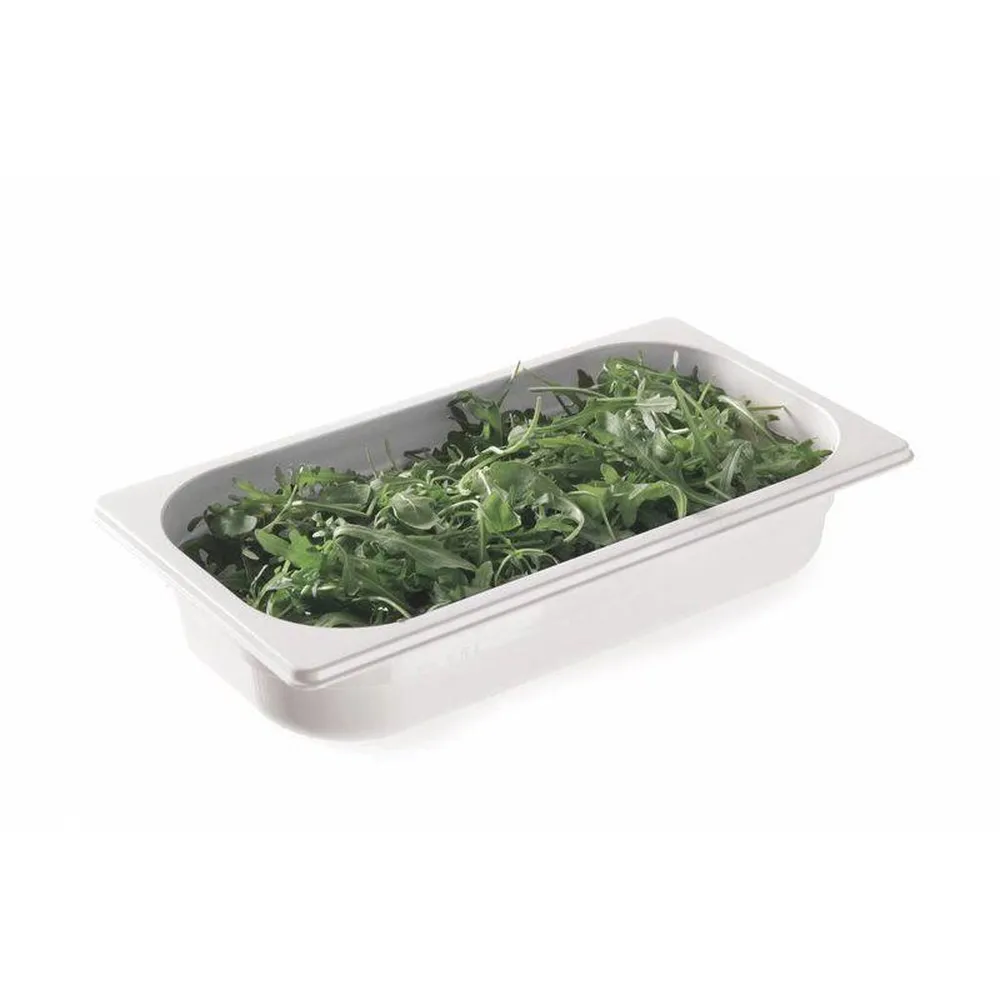 Vascheta Gastronom GN 1/2, policarbonat, 4L, inaltime 65mm [2]