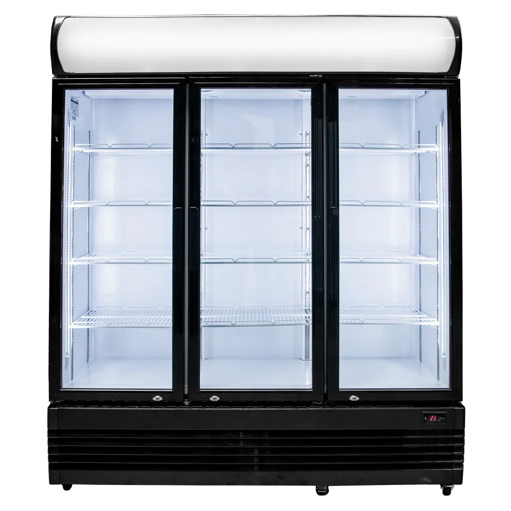 Vitrina frigorifica RICO I160, 1065L, reclama luminoasa [1]