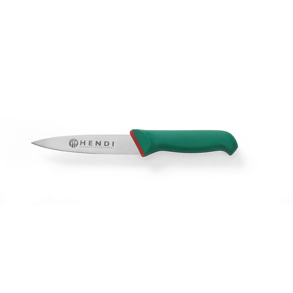 Bucatarie calda - Cutit profesional pentru gatit, 260 mm, lama inox, verde