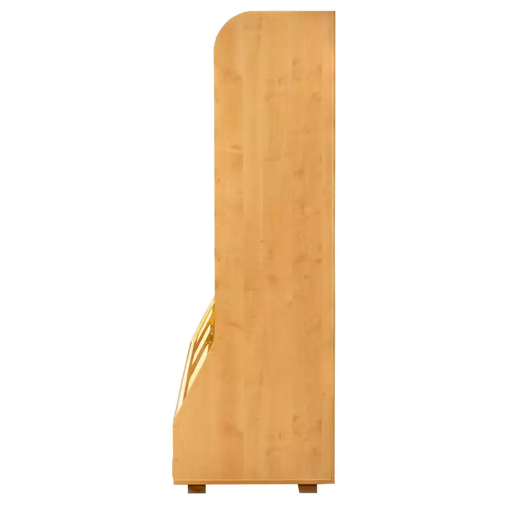 Raft paine plexiglas, iluminare, LED 180cm, artar [3]