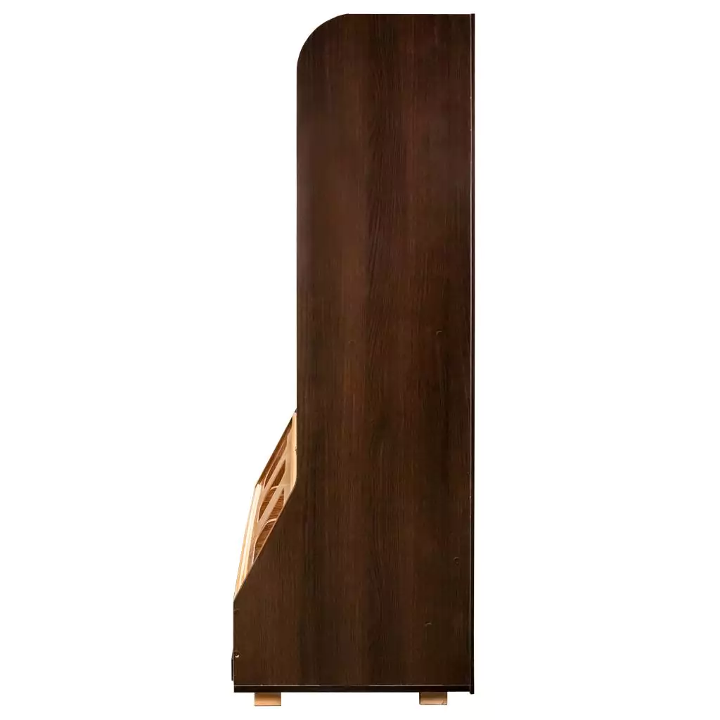 Raft paine plexiglas, iluminare, LED 180cm, wenge [6]