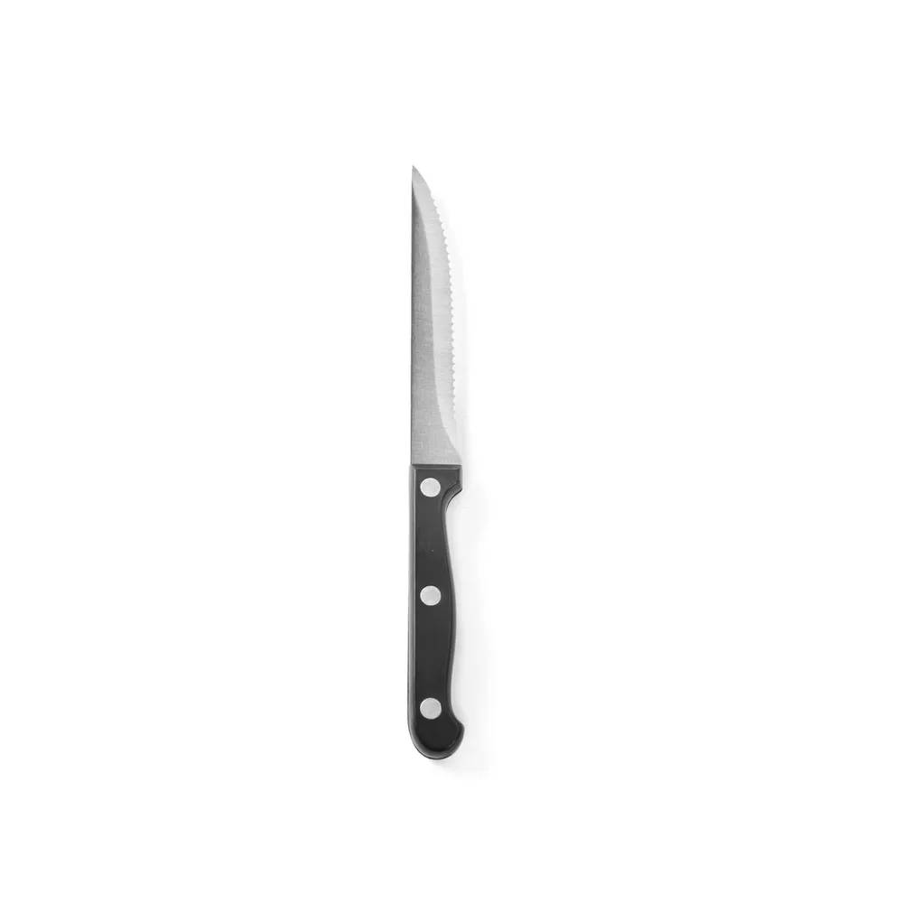 Bucatarie calda - Set 6 cutite friptura cu maner din plastic ABS, inox