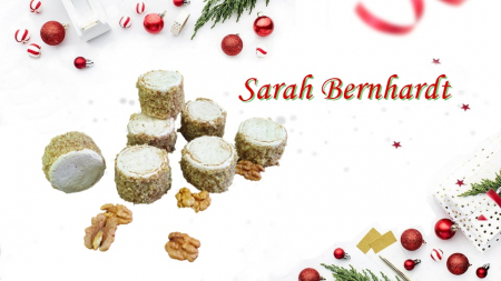 Sarah Bernhardt [1]